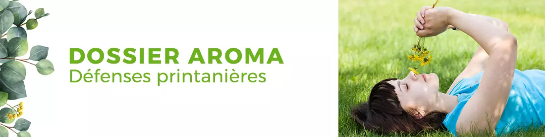 Dossier printemps pollens