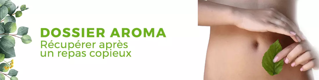 Dossier digestion repas copieux