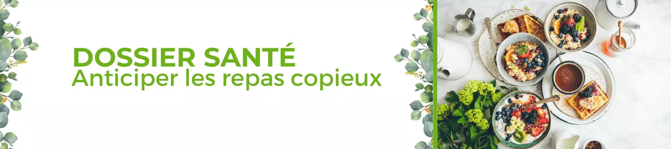 Dossier anticiper repas copieux