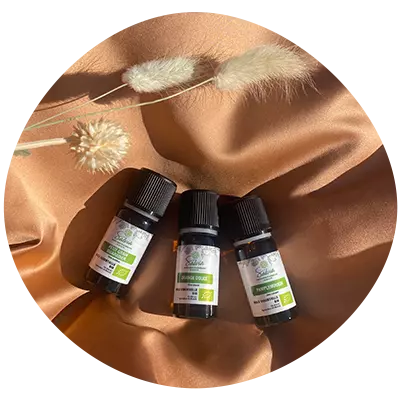 Les huiles essentielles Salvia