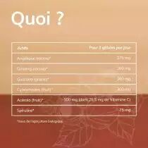 PACK DE 6 x Bioboost - 90 gélules - Bio - Plantes