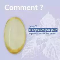 PACK DE 6 x Omega 3 Périlla Végan - 60 capsules - Bio - Huile végétale