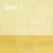 PACK DE 6 x Allerg'aroma - 40 capsules - Bio - Huile végétale et essentielle