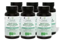 Dol'aroma PACK DE 6.png