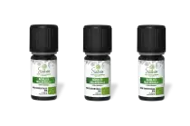 PACK DE 3 x Achillée millefeuille - Huile essentielle bio - 2 ml
