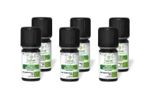 PACK DE 6 x Achillée millefeuille - Huile essentielle bio - 2 ml
