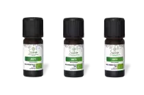 PACK DE 3 x Aneth - Huile essentielle bio - 10 ml