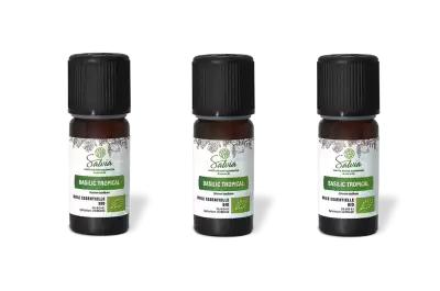 PACK DE 3 x Basilic tropical - Huile essentielle bio - 10 ml