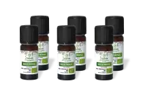 PACK DE 6 x Basilic tropical - Huile essentielle bio - 10 ml