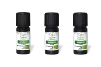 PACK DE 3 x Bergamotier - Huile essentielle bio - 10 ml
