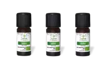 PACK DE 3 x Cajeput - Huile essentielle bio - 10ml