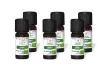 PACK DE 6 x Cajeput - Huile essentielle bio - 10ml