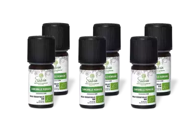 PACK DE 6 x Camomille romaine - Huile essentielle bio - 2 ml