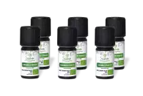 PACK DE 6 x Camomille romaine - Huile essentielle bio - 2 ml