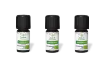 PACK DE 3 x Cannelle de ceylan - Huile essentielle bio - 5 ml
