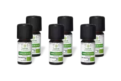 PACK DE 6 x Cannelle de ceylan - Huile essentielle bio - 5 ml