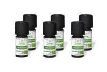PACK DE 6 x Cannelle de ceylan - Huile essentielle bio - 5 ml