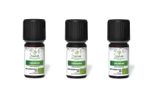 PACK DE 3 x Cardamome - Huile essentielle bio - 5 ml