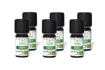 PACK DE 6 x Cardamome - Huile essentielle bio - 5 ml