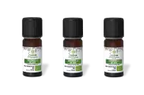 PACK DE 3 x Citronnelle de java - Huile essentielle bio - 10 ml