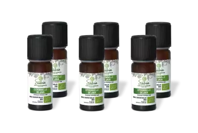 PACK DE 6 x Citronnelle de java - Huile essentielle bio - 10 ml