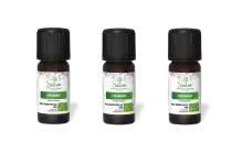 PACK DE 3 x Coriandre - Huile essentielle bio - 10 ml