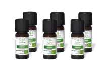 PACK DE 6 x Coriandre - Huile essentielle bio - 10 ml