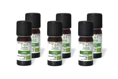 PACK DE 6 x Cypr�s - Huile essentielle bio - 10 ml