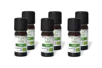 PACK DE 6 x Cyprès - Huile essentielle bio - 10 ml