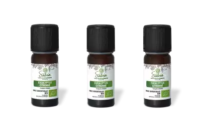 PACK DE 3 x Eucalyptus citronn� - Huile essentielle bio - 10 ml