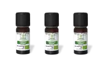PACK DE 3 x Eucalyptus citronné - Huile essentielle bio - 10 ml