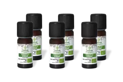 PACK DE 6 x Eucalyptus citronn� - Huile essentielle bio - 10 ml