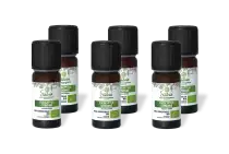 PACK DE 6 x Eucalyptus citronné - Huile essentielle bio - 10 ml