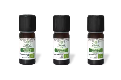PACK DE 3 x Eucalyptus globulus - Huile essentielle bio - 10 ml