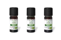 PACK DE 3 x Eucalyptus globulus - Huile essentielle bio - 10 ml