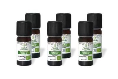 PACK DE 6 x Eucalyptus globulus - Huile essentielle bio - 10 ml