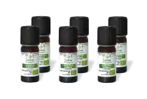 PACK DE 6 x Eucalyptus globulus - Huile essentielle bio - 10 ml