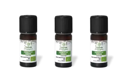 PACK DE 3 x Eucalyptus radiata - Huile essentielle bio - 10 ml