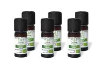 PACK DE 6 x Eucalyptus radiata - Huile essentielle bio - 10 ml