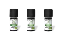 PACK DE 3 x Géranium - Huile essentielle bio - 5 ml