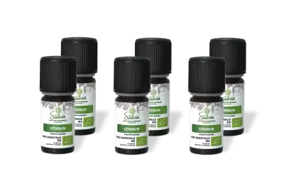 PACK DE 6 x G�ranium - Huile essentielle bio - 5 ml