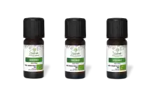 PACK DE 3 x Gingembre - Huile essentielle bio - 10 ml
