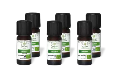 PACK DE 6 x Gingembre - Huile essentielle bio - 10 ml