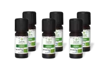 PACK DE 6 x Gingembre - Huile essentielle bio - 10 ml