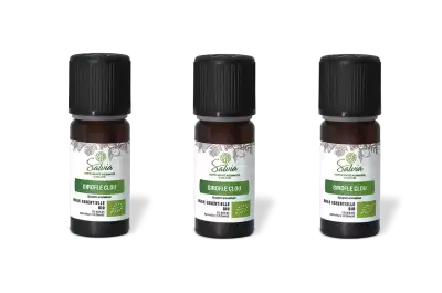 PACK DE 3 x Girofle clou - Huile essentielle bio - 10 ml