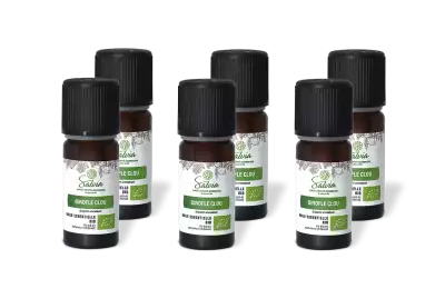 PACK DE 6 x Girofle clou - Huile essentielle bio - 10 ml