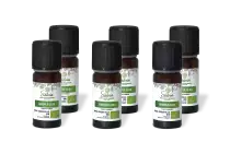 PACK DE 6 x Girofle clou - Huile essentielle bio - 10 ml