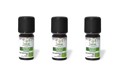 PACK DE 3 x H�lichryse italienne - Huile essentielle bio - 5 ml