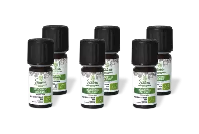 PACK DE 6 x H�lichryse italienne - Huile essentielle bio - 5 ml