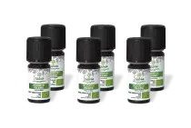 PACK DE 6 x Hélichryse italienne - Huile essentielle bio - 5 ml